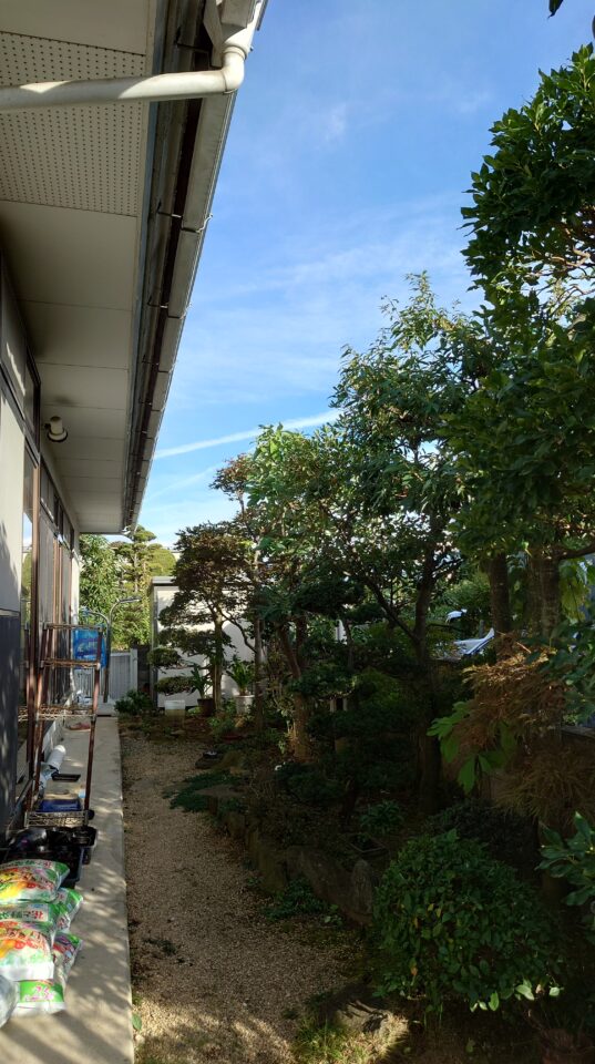 長野市でお庭の剪定