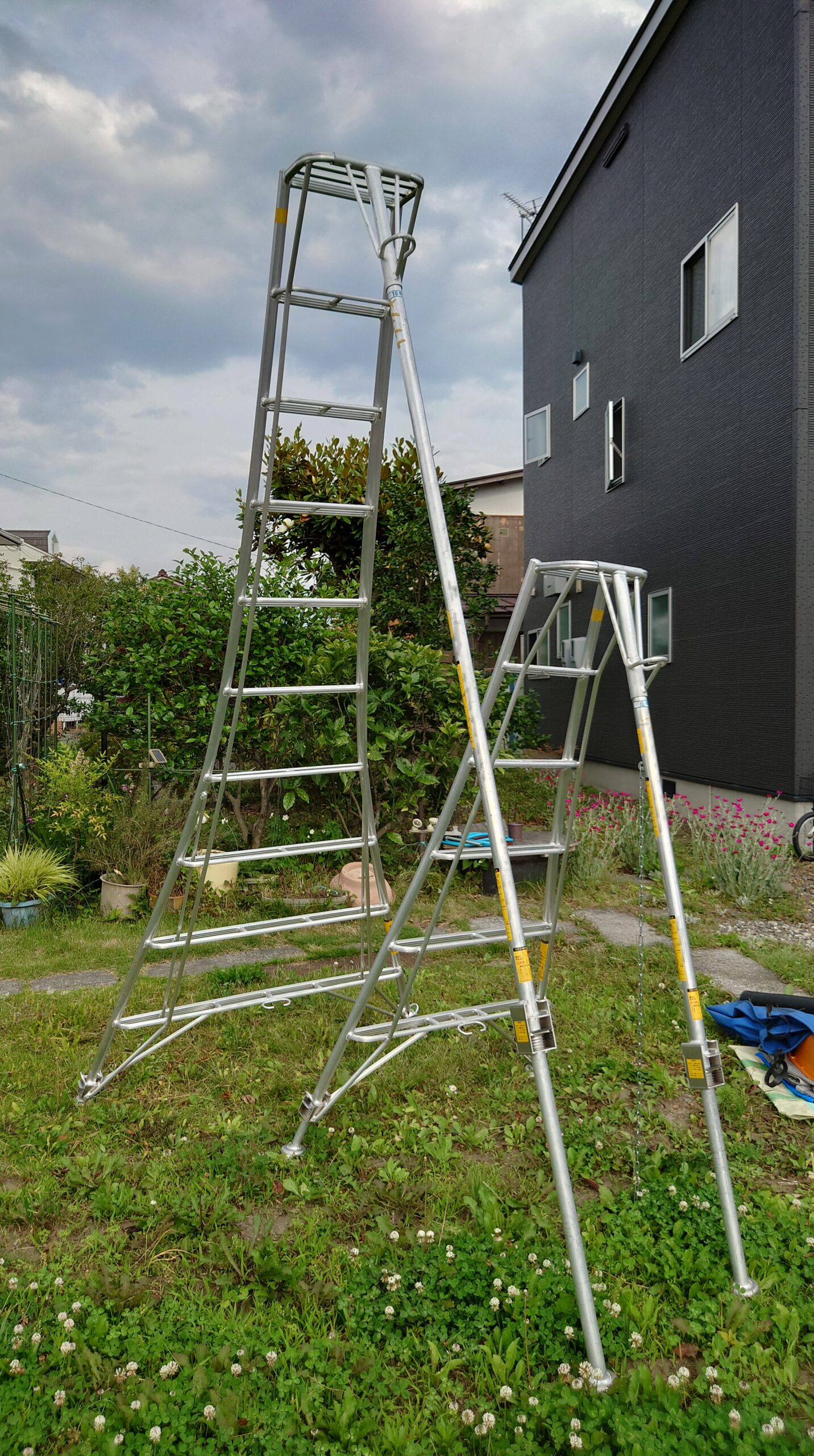 庭木の剪定に必須のはしごや三脚、おすすめのものを紹介します | 【ライチョウグリーンサービス】