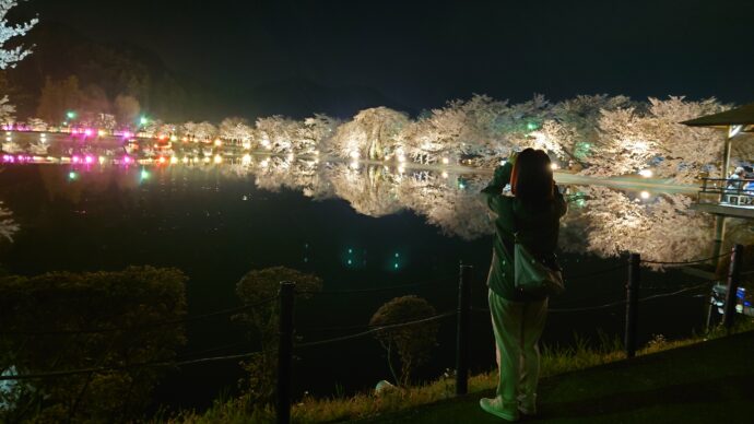 須坂市の臥竜公園の夜桜
