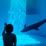 上越の水族館「うみがたり」