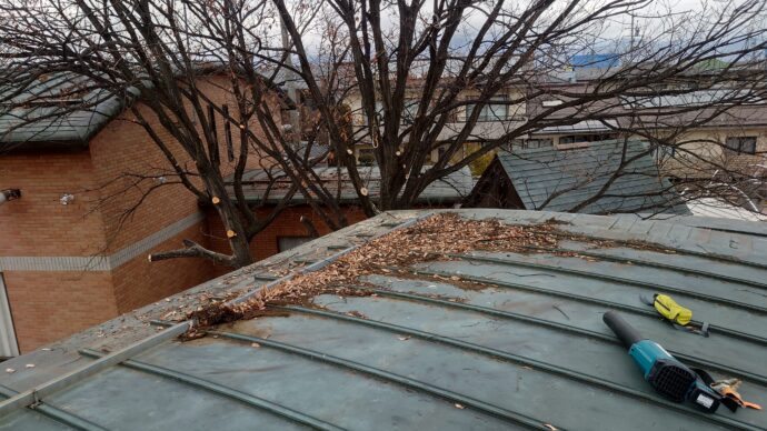 屋根に積もった落葉の掃除